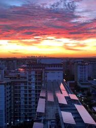 Blk 235 Choa Chu Kang Central (Choa Chu Kang), HDB Executive #631225841